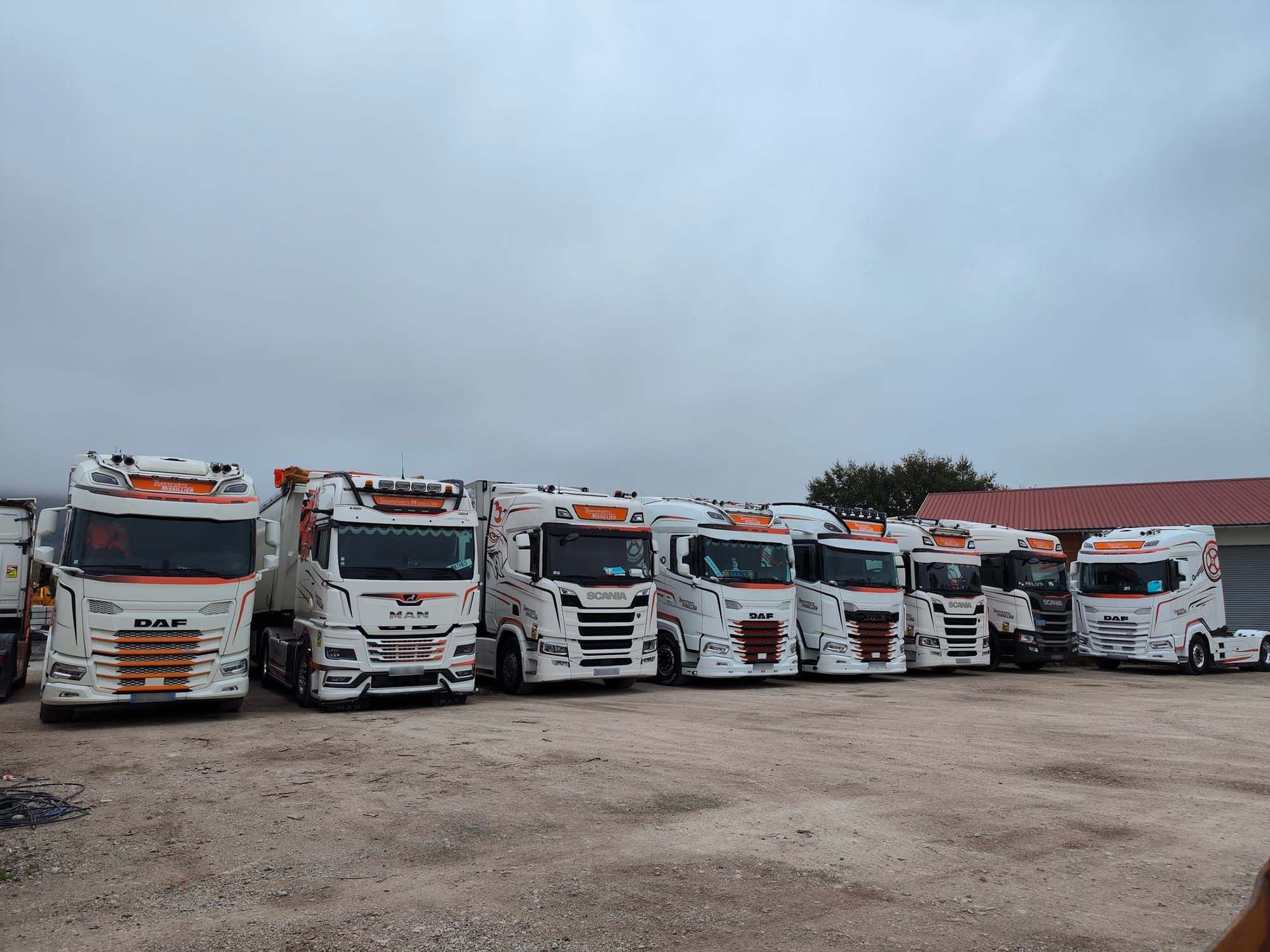 Camion de la flotte Transports Missillier (2)